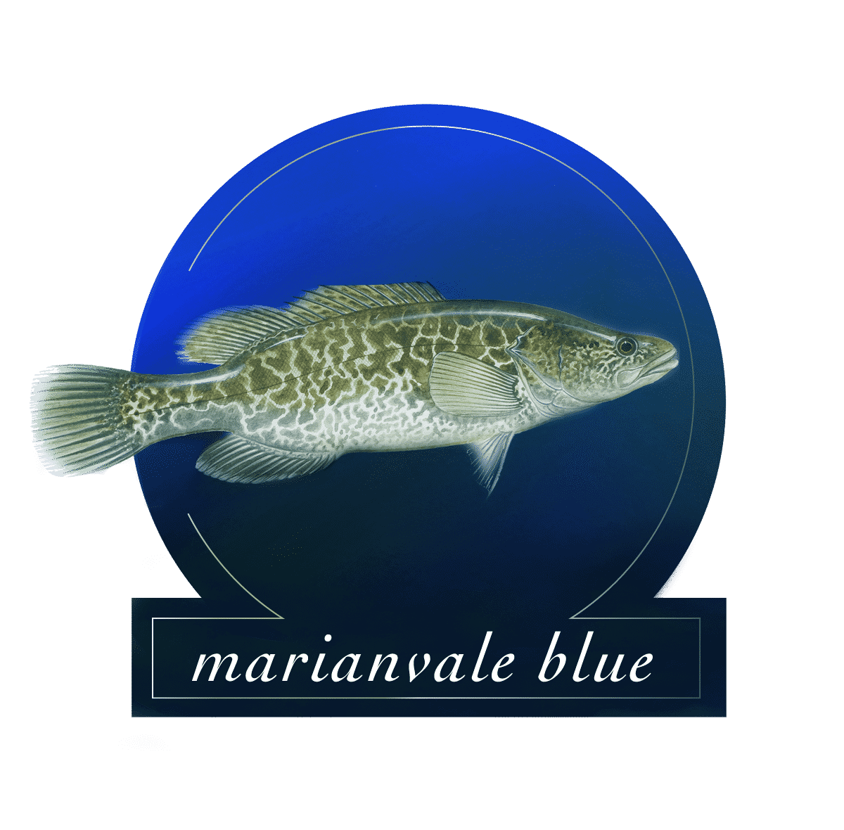 Marianvale Blue Logo